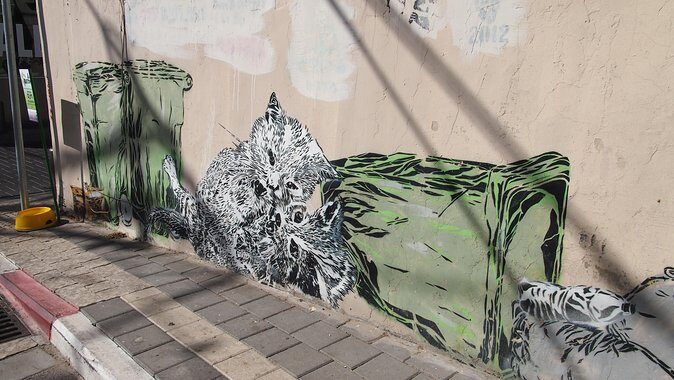 Tel Aviv Street Art Tour - Practical Details and Value