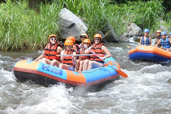 Telaga Waja Rafting (Include Lunch & Return Transportation) - What to Expect During the Tour