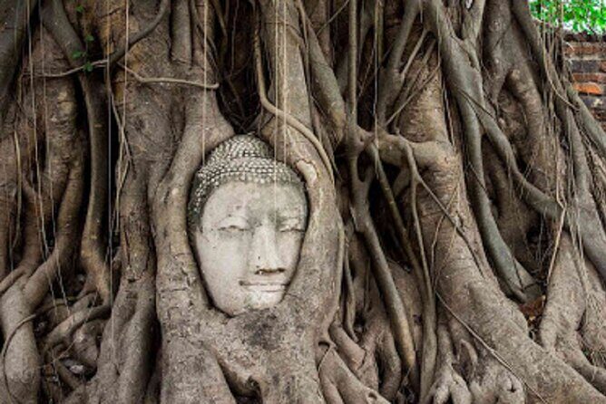 Temples of Ayutthaya Day Tour from Bangkok - Practical Details & Considerations