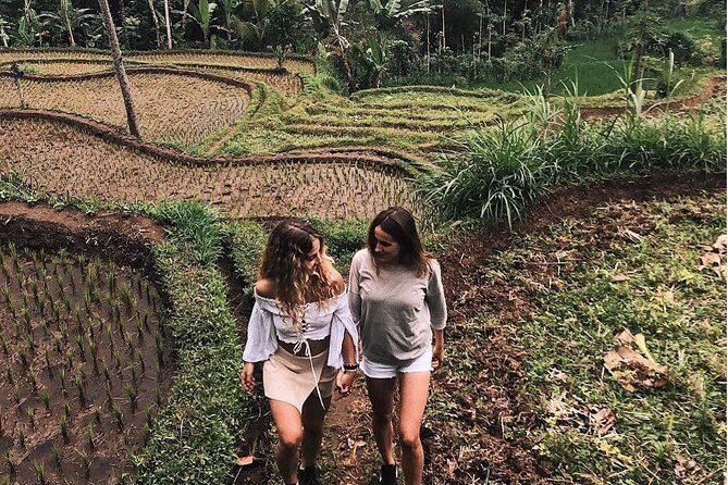 Tete Batu Tour (Temple, Terrace Rice, and Waterfalls) - A Detailed Look at the Tour Experience
