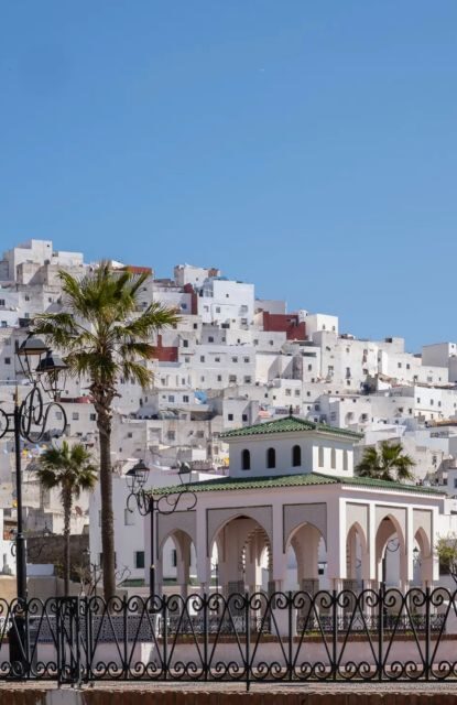 Tetouan Medina: Private cultural & food tasting guided tour - Who Should Take This Tour?