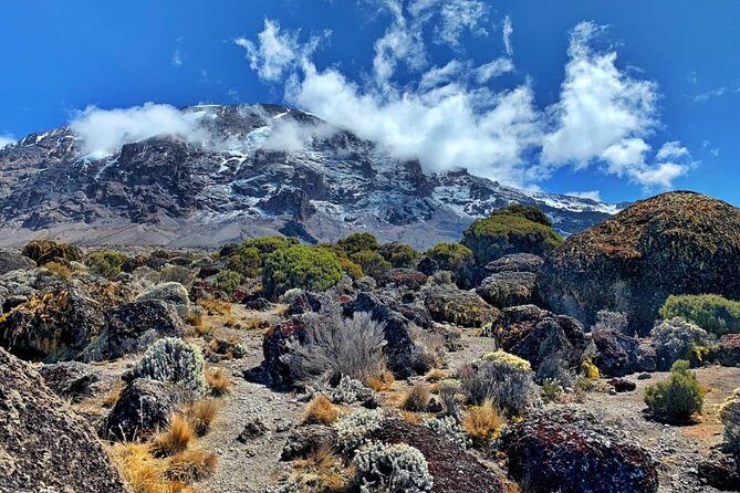 The 6 Days Kilimanjaro Climbing Tour via Machame Route in 2025/26 - Who Will Love This Tour?