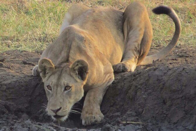 The Admirable Mikumi National Park - 2 Days - Day 1: Into the Heart of the Park