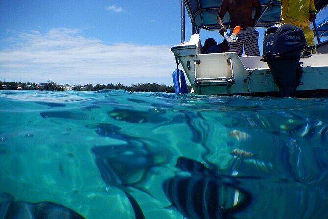 The Adventure East of Mauritius: 3-Watersport Activities & Blue-Bay Marine Park - What the Reviews Say