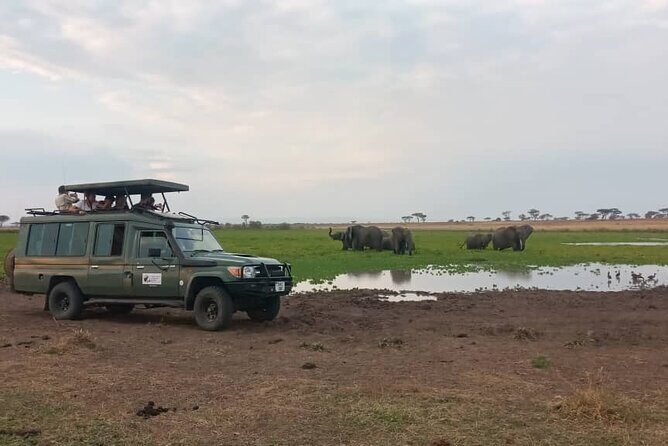 The Best 3Days Start from Mwanza to Serengeti' through Viator - Who Will Love This Tour?