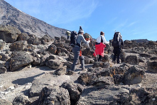 The best 6-Days Kilimanjaro hiking (Machame route)whiskey route - What the Reviews Say