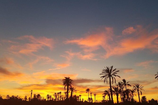 the best Camel ride exp in desert of Marrakech - Final Words