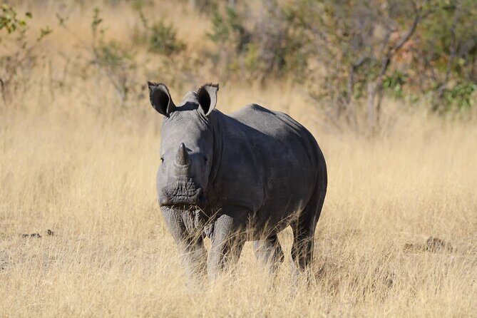 The Best of Matobo - In-Depth Look at the Itinerary and Highlights
