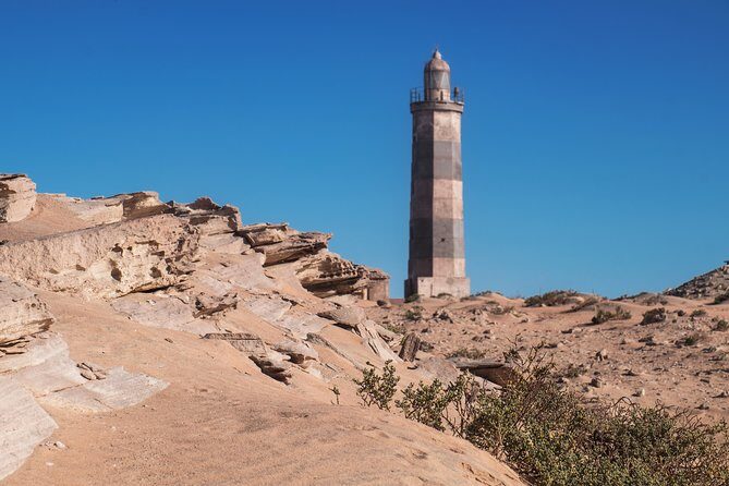 The best of Nouadhibou walking tour - Exploring Local Life and Legends