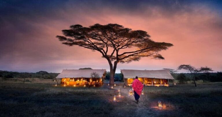 The Best of Three days Tarangire and Serengeti National Park - The Value of the Experience