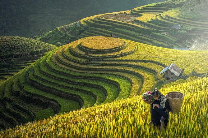 The Best Sapa Tour 2D1N At 3 Star Hotel by sleeping BUS TRANSFER - Transportation and Accommodation: Why They Matter