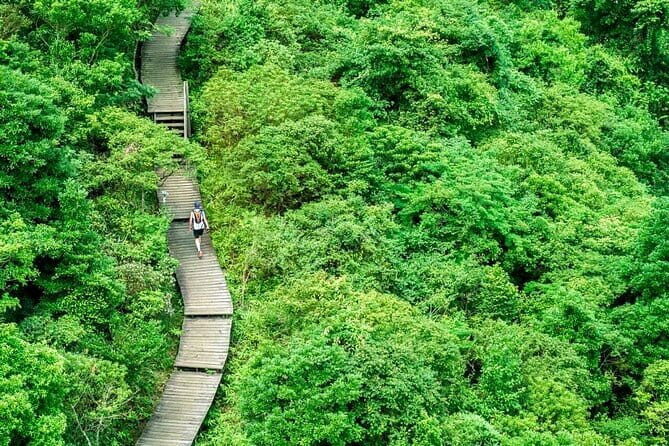 The Big Buddha & Lantau Island - Private Tour with Private Car - FAQ
