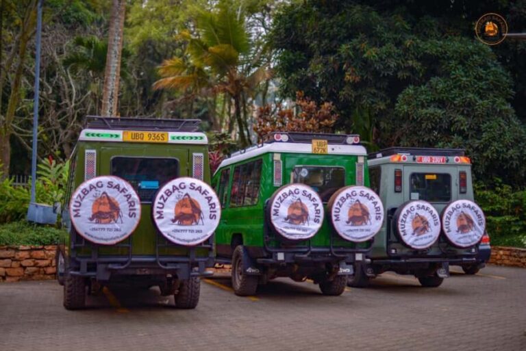 The Big5 3 Days Wildlife Adventure Experience in Uganda. - The Value of This Tour