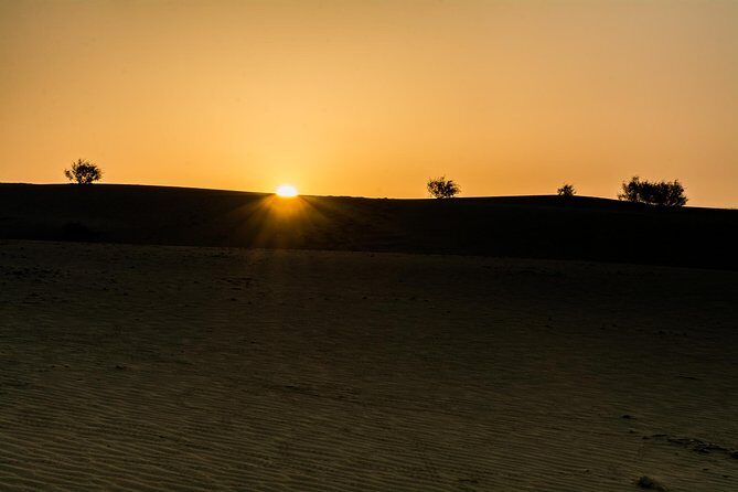 The Billion stars Experience in the Desert - What Makes This Tour Stand Out?