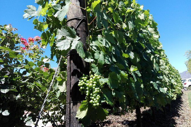 The Constantia Wineland - Why the Experience Works for Travelers