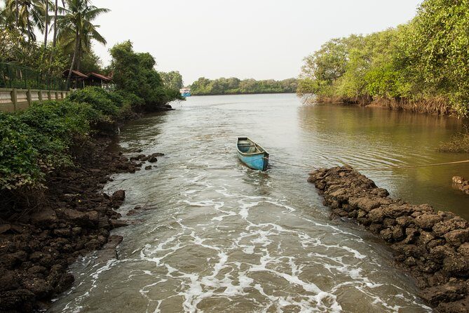 The Divar Island Exploration - The Experience: What Travelers Can Expect