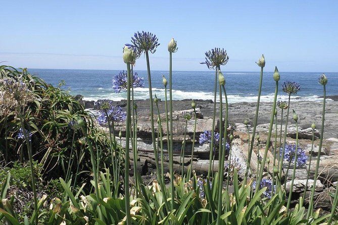 The Garden Route from Port Elizabeth to The Crags - FD07 - What’s the True Value?