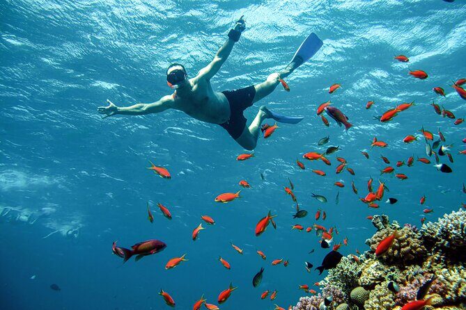 The Giftun Island Orange Sea Excursion from Hurghada - Why Travelers Love This Tour Based on Reviews