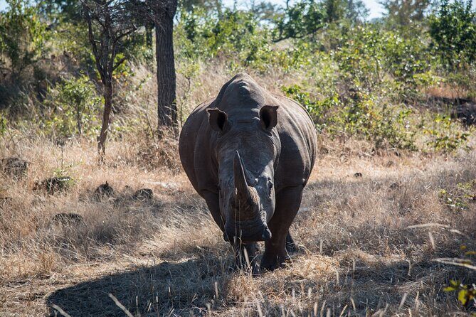 The Mosi oa Tunya National Park Game Drive - Final Thoughts: Is It Worth It?