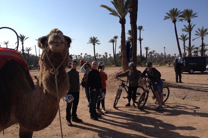 The Palmery Off-Road Bike Tour from Marrakech - Who Will Love This Experience?