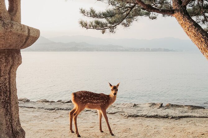 The Peace Memorial to Miyajima : Icons of Peace and Beauty - What Our Reviewers Say