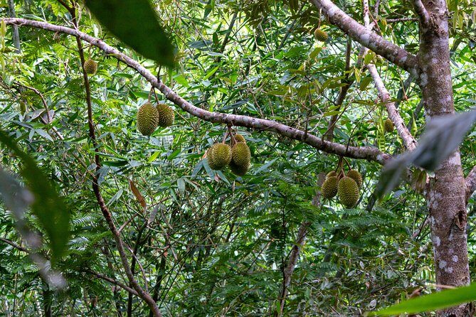 The Phuket Rites of Passage Eco Adventure - Final Thoughts: Who Will Love This Tour?