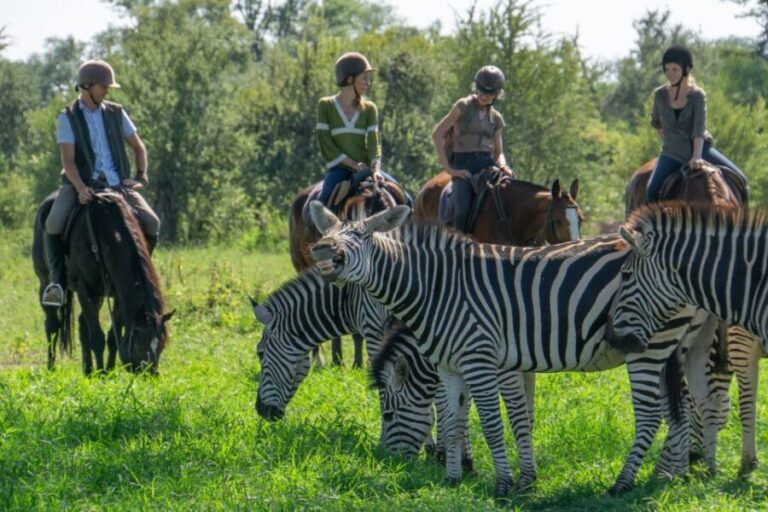 The Private Great Africa Escape 11 Days, Cape Town to Chobe - A Closer Look at the Itinerary and What It Means for You