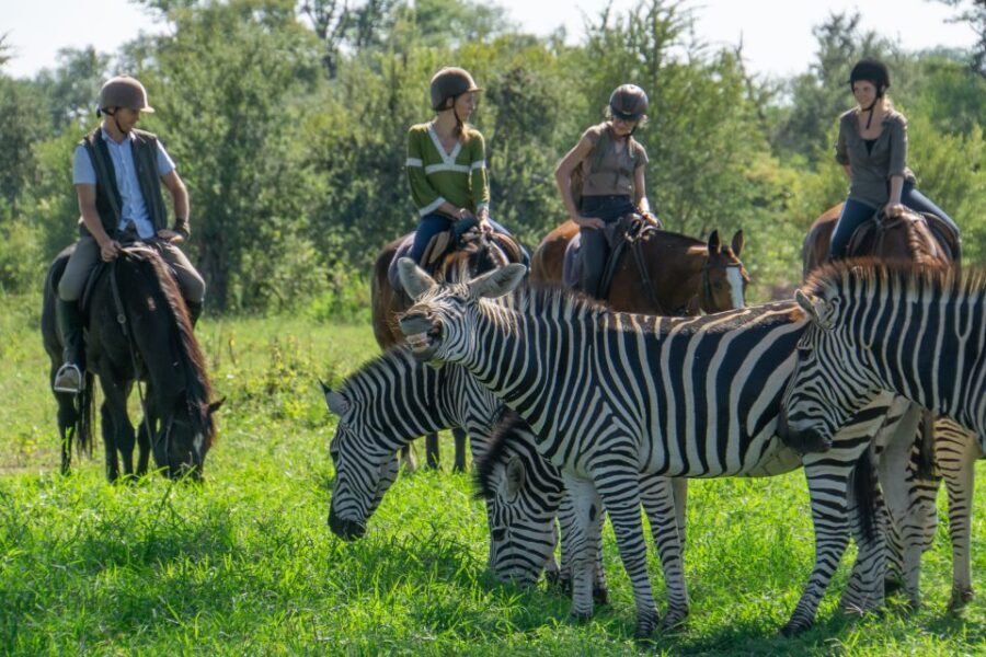 The Private Great Africa Escape 11 Days, Cape Town to Chobe - A Closer Look at the Itinerary and What It Means for You