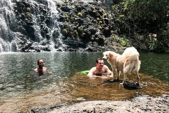The Tamarind Falls (7 Cascades) Adventure - Who Should Consider This Tour?