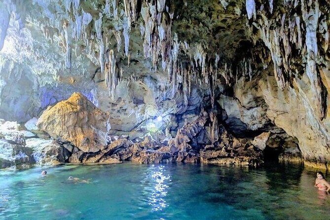 The tour of the must-see sites of Bohol - Exploring the Itinerary: What to Expect