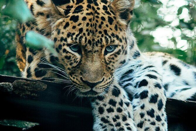 The Ultimate Guide for 2-Day Tanzania Safari from Mwanza - The Itinerary: What to Expect