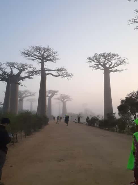The west beauty of Madagascar: Tsingy and Baobab trees - Transportation and Group Experience
