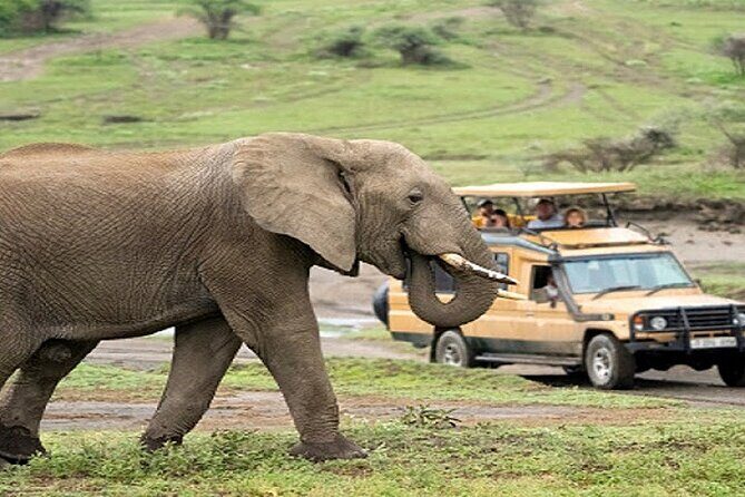The World's Best 1 Day Tarangire Budget Group Safari From Arusha - Day 1: From Arrival to Preparation
