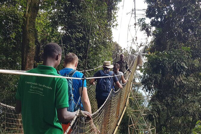 Three-day Nyungwe Canopy and Kivu Lake Adventure - A Detailed Look at the Three-Day Rwanda Adventure