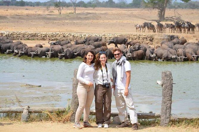 Three days Mikumi National Park, game drive and walking safari inside the park - The Sum Up