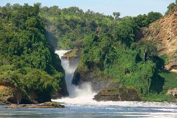 Three Days Murchison Falls National Park Tour in Uganda - Authentic Experiences and Traveler Feedback
