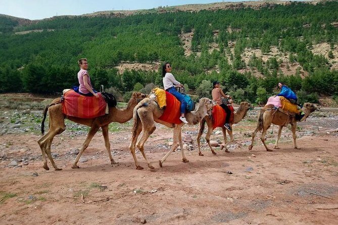 Three Valleys & Waterfalls & Atlas Mountains - Camel ride Day Trip Marrakech - What the Tour Includes & What to Consider