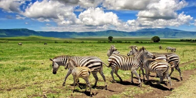 Thrilling three days combo safari, crater and migrations - What To Consider Before Booking