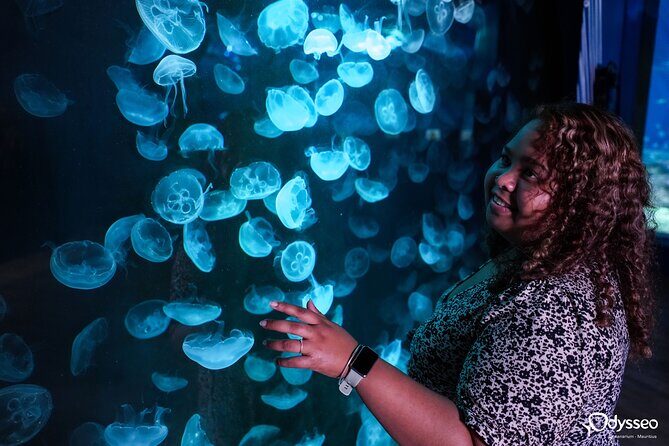 Ticket to the largest Oceanarium of the Mascarene Islands - Practical Details and Tips for Visitors