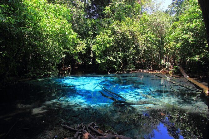 Tiger Cave Temple, Emerald Pool & Hot Springs Tour from Krabi - What Travelers Are Saying