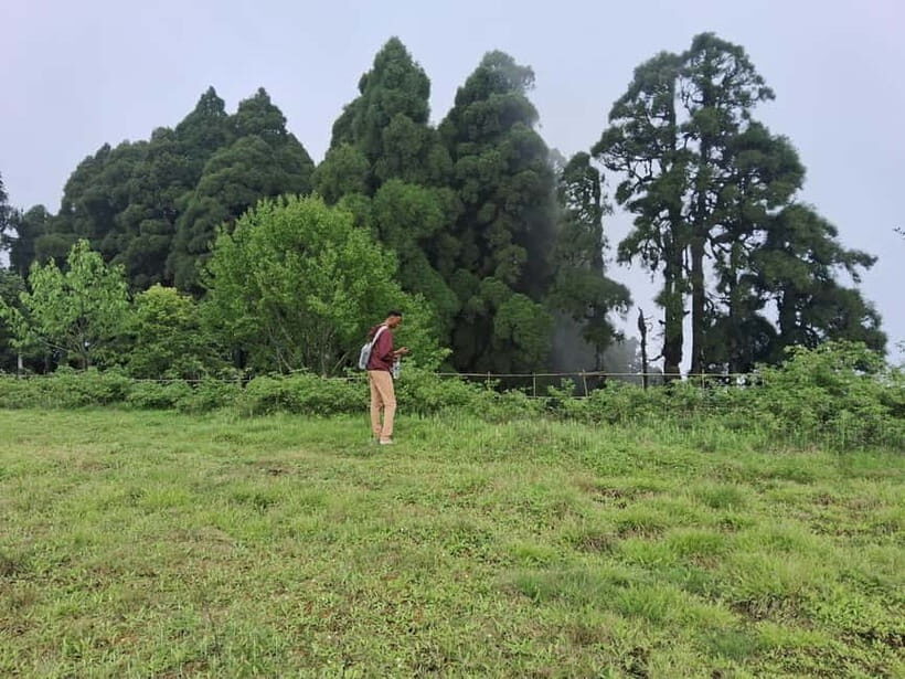 Tiger Hill Sunrise and Hiking Tour from Darjeeling - What’s Included and What’s Not
