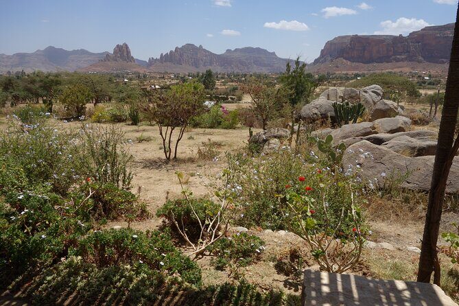 Tigray Mountain Church's Day Trip from Mekele - What to Expect During the Tour