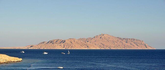 Tiran Island Snorkeling Trip by boat from Sharm El Sheikh - Snorkeling Experience and Marine Highlights
