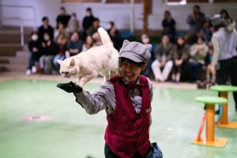 Tochigi: Nasu Animal Kingdom Entry Ticket - Ticketing and Cost-Effectiveness