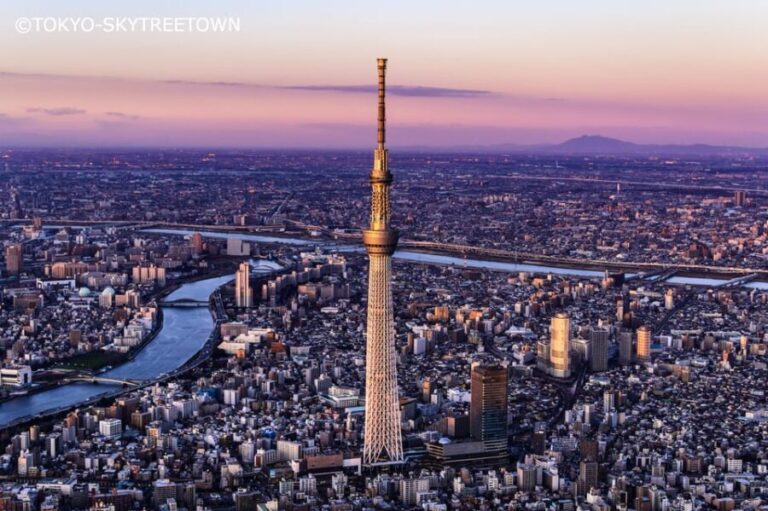 Tokyo: 1 Day Bus Tour with Meiji-Jingu,Odaiba,lunch&Skytree - Why This Tour Makes Sense for Most Travelers