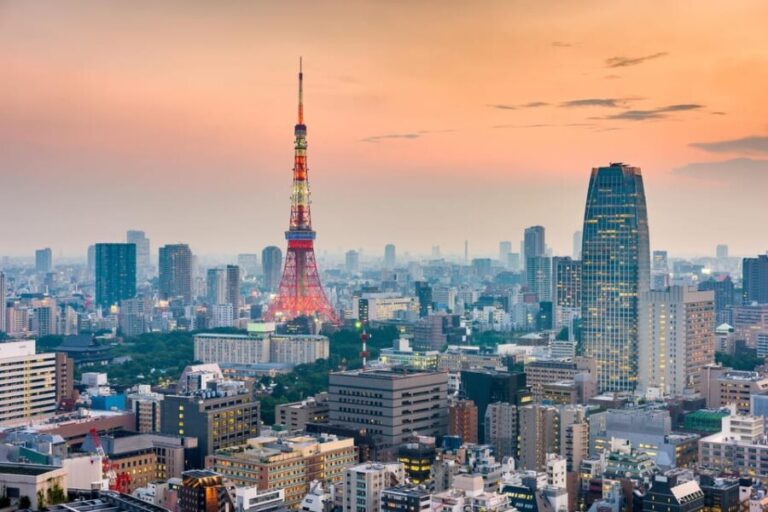 Tokyo: 2-Day Private Tour Tokyo City & Mt. Fuji or Hakone. - The Practicalities and Value