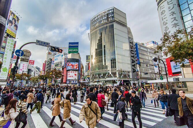 Tokyo 6hr Instagram Highlights Private Tour with Licensed Guide - Who Will Love This Tour?