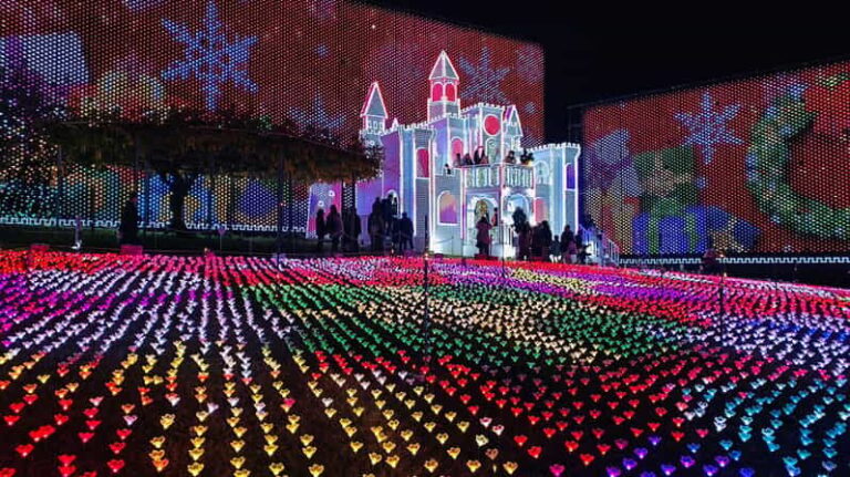 Tokyo: Ashikaga Flower Park with Entry Ticket - What To Expect: Day in the Life of the Tour