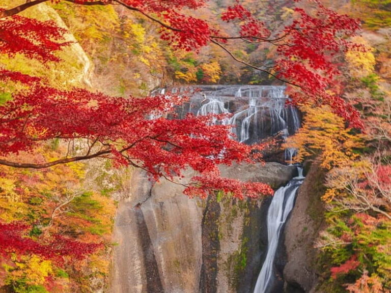 Tokyo: Autumn Hitachi Seaside Park, Fukuroda Falls & Ryujin - Exploring the Itinerary: From Waterfalls to Flower Fields
