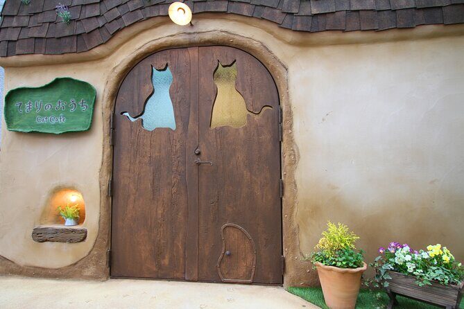 Tokyo Cat Café in Kichijoji - Forest Themed - Frequently Asked Questions
